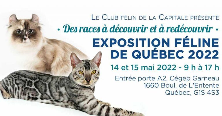 expo feline quebec 2022